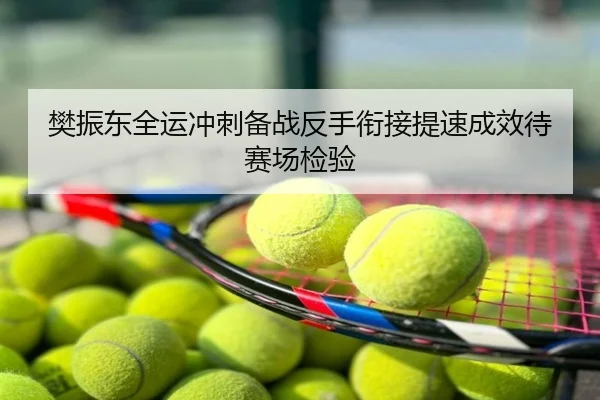 樊振东全运冲刺备战反手衔接提速成效待赛场检验