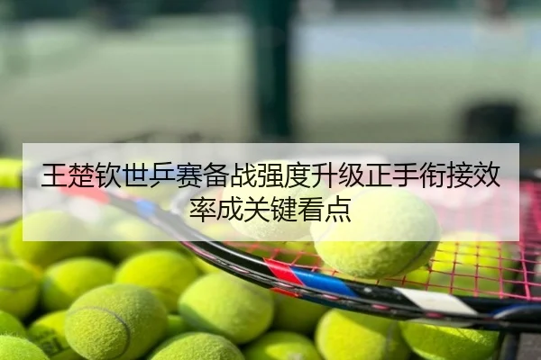 王楚钦世乒赛备战强度升级正手衔接效率成关键看点